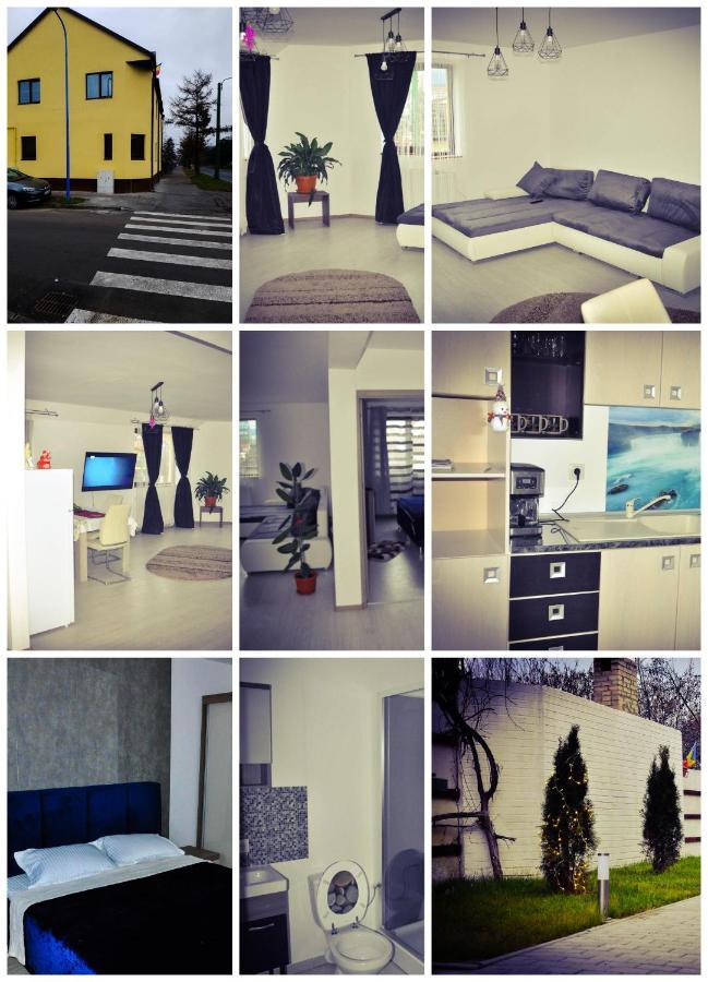 Casa Andrei Otel Braşov Dış mekan fotoğraf